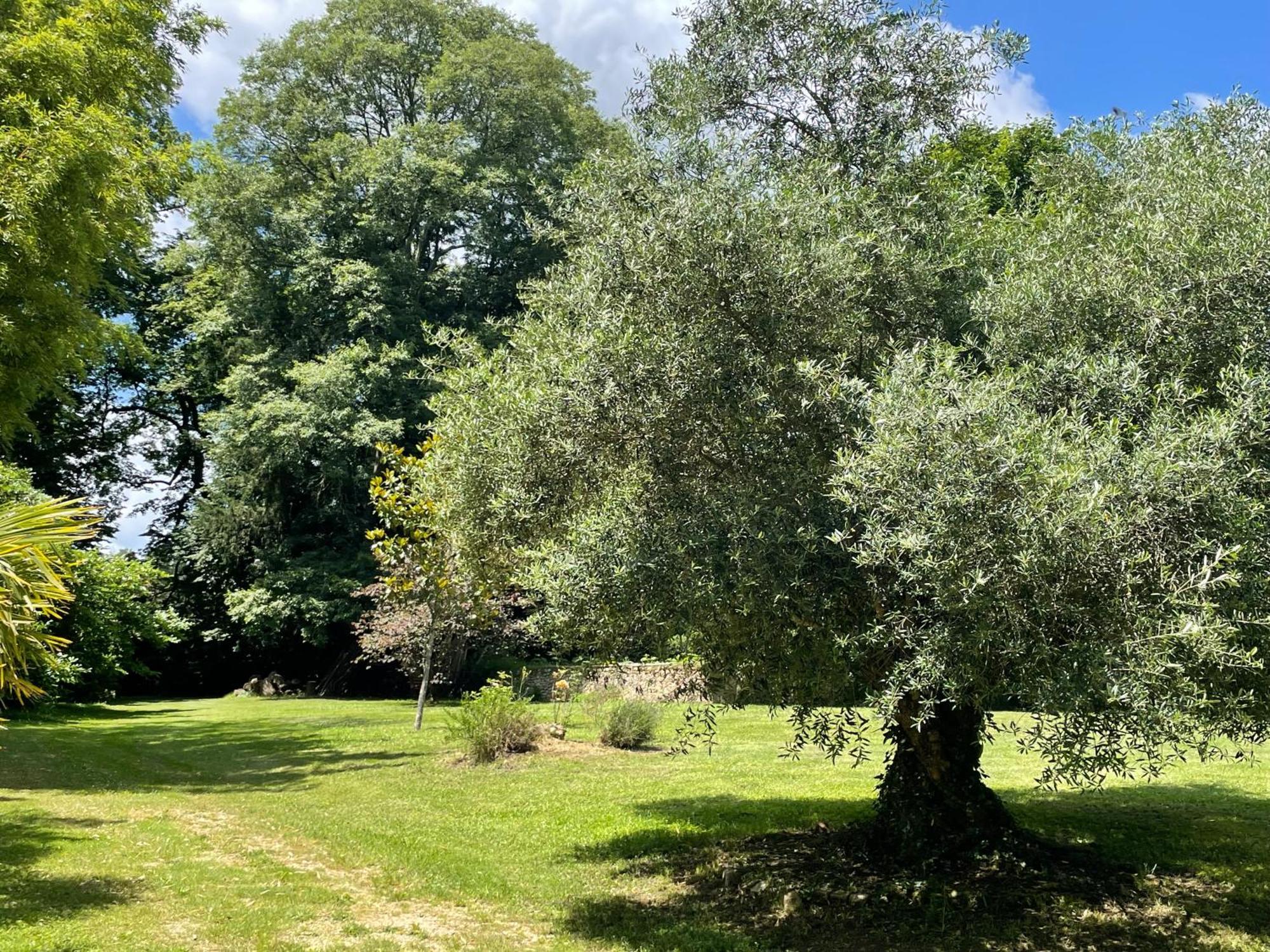 La Rebiere D'Or, B&B Et Gite Mouleydier Exteriér fotografie